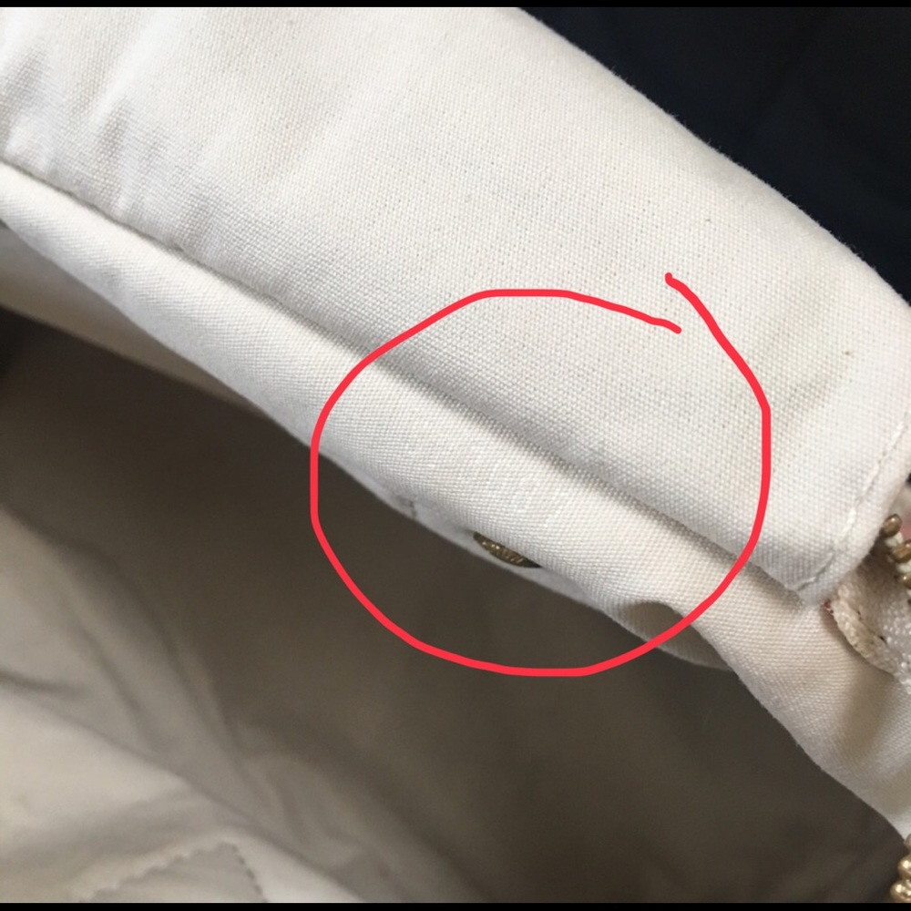 Authentic Louis Vuitton Speedy Mini Lin Croisette - Picture 5 of 8